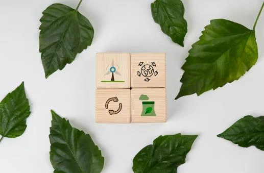 Certificate in Sustainability Management